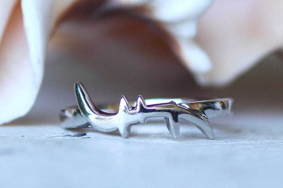 Silver helix DNA ring
