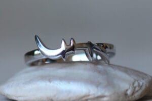 Silver helix DNA ring