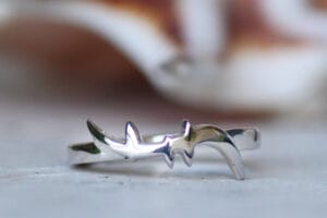 Silver helix DNA ring