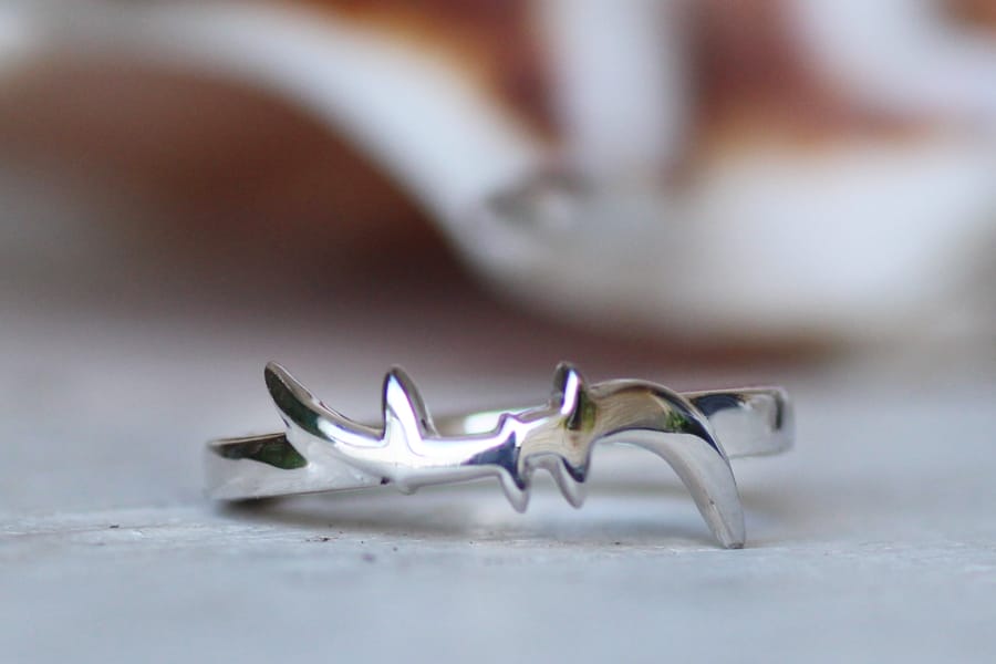 Silver helix DNA ring